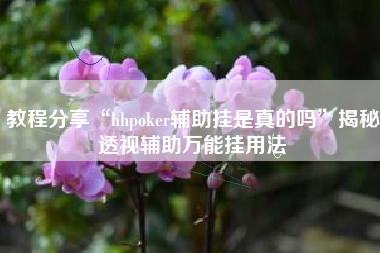 教程分享“hhpoker辅助挂是真的吗”揭秘透视辅助万能挂用法
