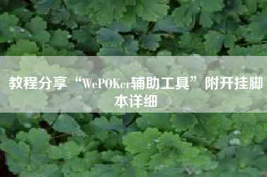 教程分享“WePOKer辅助工具”附开挂脚本详细