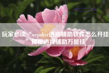 玩家必读“wepoker透视辅助软件怎么开挂”揭秘透视辅助万能挂