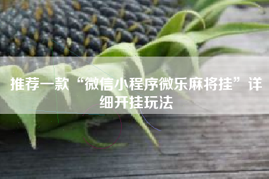 推荐一款“微信小程序微乐麻将挂”详细开挂玩法