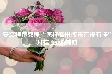 安装程序教程“怎样看出微乐有没有挂”开挂(透视)辅助