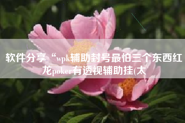 软件分享“wpk辅助封号最怕三个东西红龙poker有透视辅助挂(太