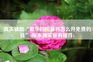 真实辅助“微乐四川麻将怎么开免费的挂	”(原来确实是有插件)