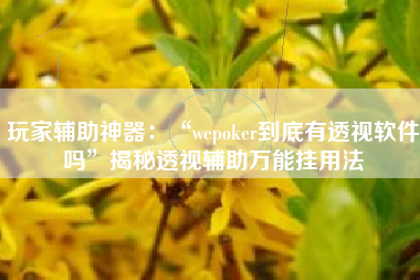 玩家辅助神器：“wepoker到底有透视软件吗	”揭秘透视辅助万能挂用法