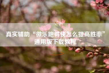 真实辅助“微乐跑得快怎么提高胜率”通用版下载教程