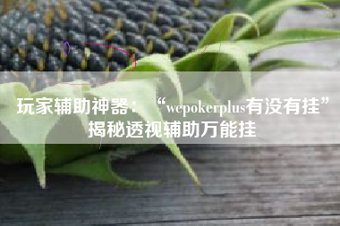 玩家辅助神器：“wepokerplus有没有挂”揭秘透视辅助万能挂
