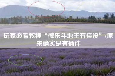 玩家必看教程“微乐斗地主有挂没	”(原来确实是有插件