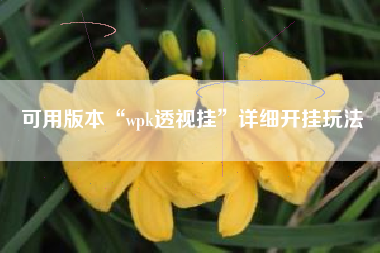 可用版本“wpk透视挂	”详细开挂玩法