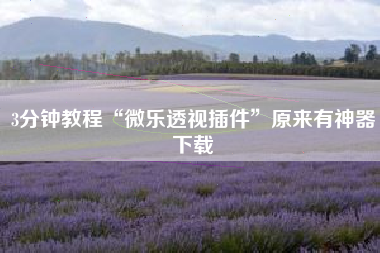 3分钟教程“微乐透视插件	”原来有神器下载