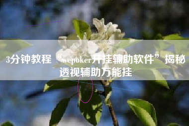 3分钟教程“wepoker开挂辅助软件”揭秘透视辅助万能挂