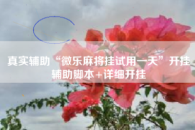 真实辅助“微乐麻将挂试用一天	”开挂辅助脚本+详细开挂